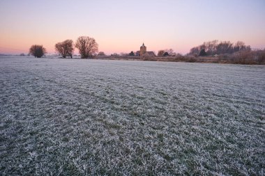 frost sabah ışık ile çimen