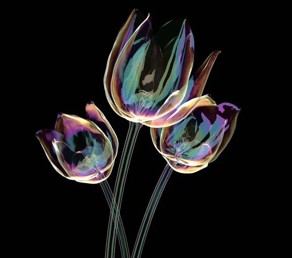 黑郁金香上孤立的彩色玻璃花 — 图库照片