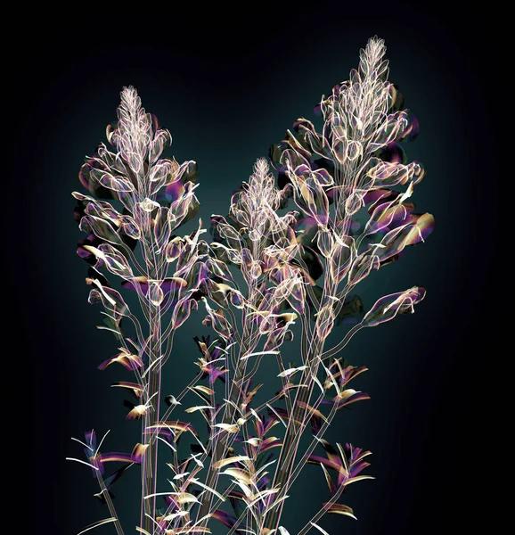 Cor flor de vidro isolado no preto, o Snapdragon — Fotografia de Stock