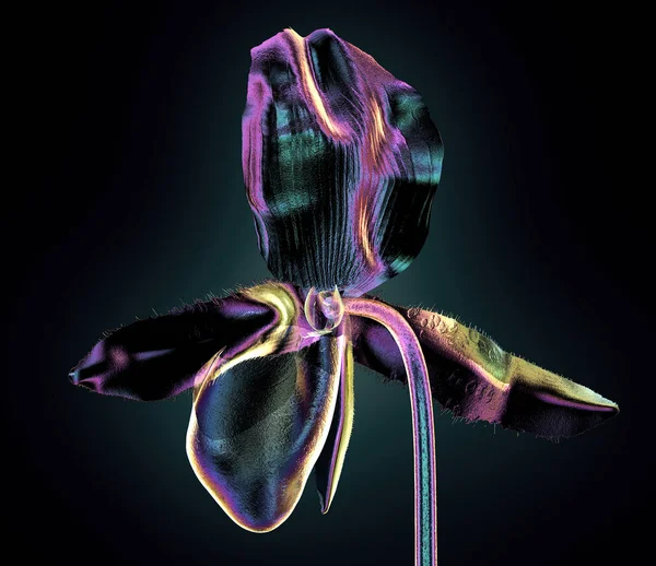 Χρώμα γυαλί λουλούδι απομονωμένος, η orchide — Φωτογραφία Αρχείου