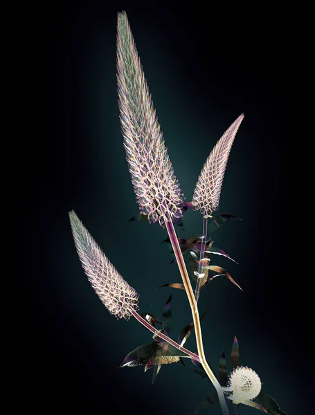 Färg glas blomma isolerade på svart, svanhals — Stockfoto