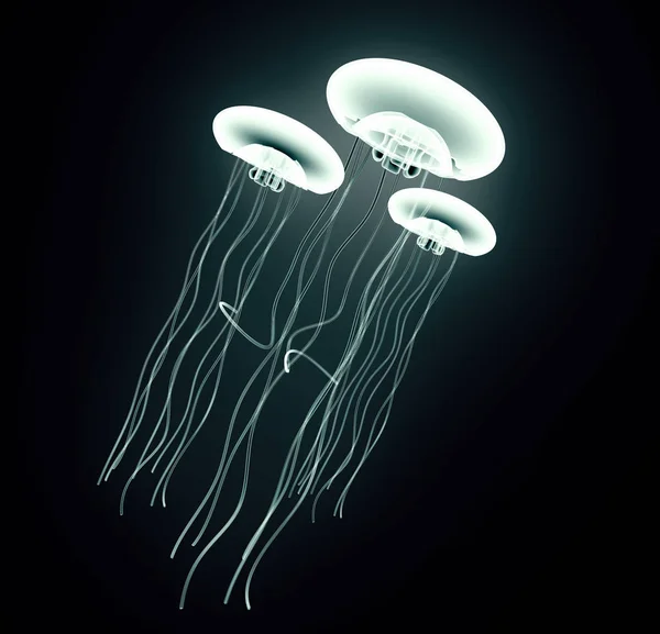 Medusas nadando isolado em preto — Fotografia de Stock