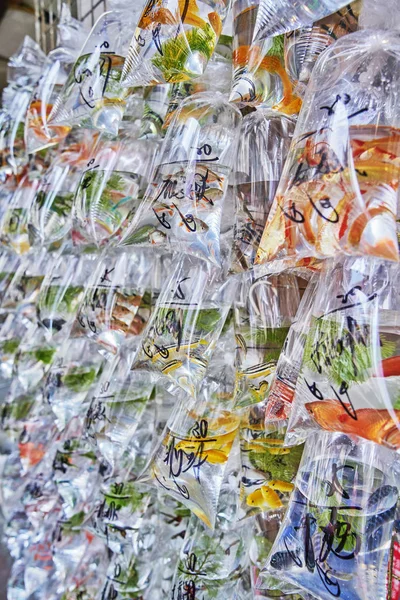 Fish in plastic bags for sale — Stock Photo, Image