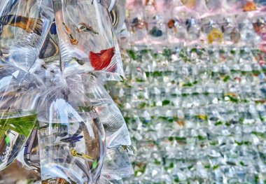 Satılık Plastik torba balık