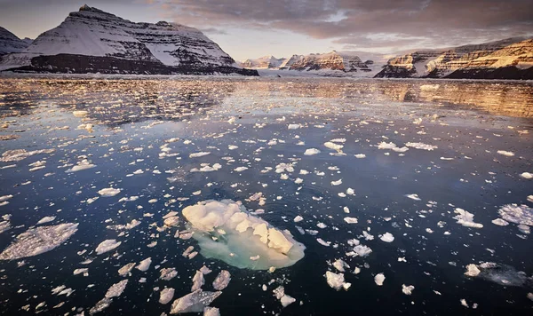 Ledovce v Grónsku fjord — Stock fotografie