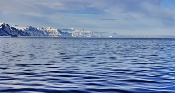 グリーンランドのフィヨルドに浮かぶ氷山 — ストック写真