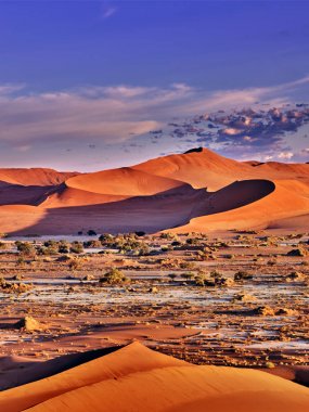 Turuncu tepeleri ile namib Çölü