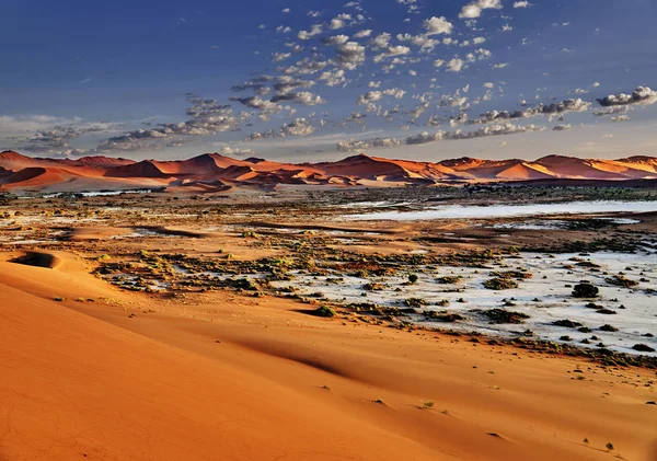 Desert of namib with orange dunes — Stock Photo, Image