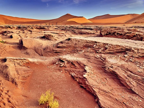 Turuncu tepeleri ile namib Çölü