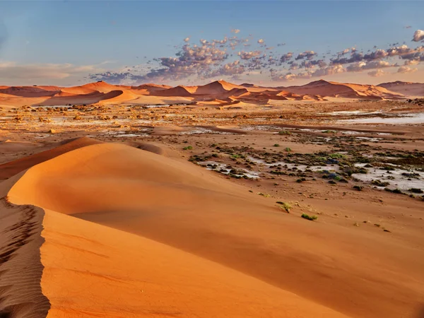 Namib-Wüste mit orangen Dünen — Stockfoto