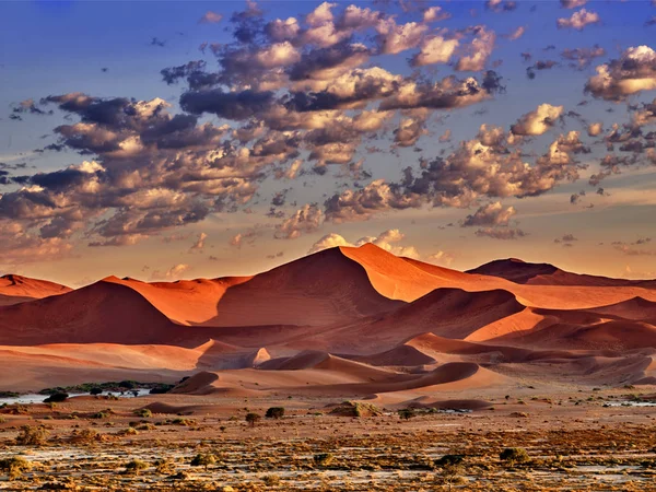 纳米布与橙色沙丘的沙漠 — 图库照片