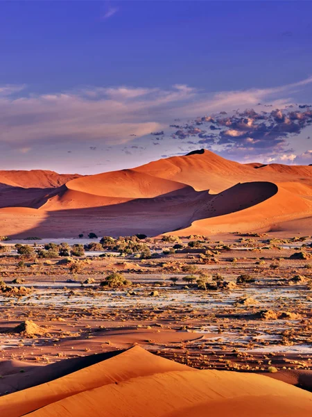 Desert of namib with orange dunes — Stock Photo, Image