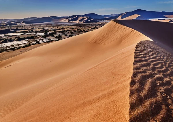 Desert of namib with orange dunes — Stock Photo, Image