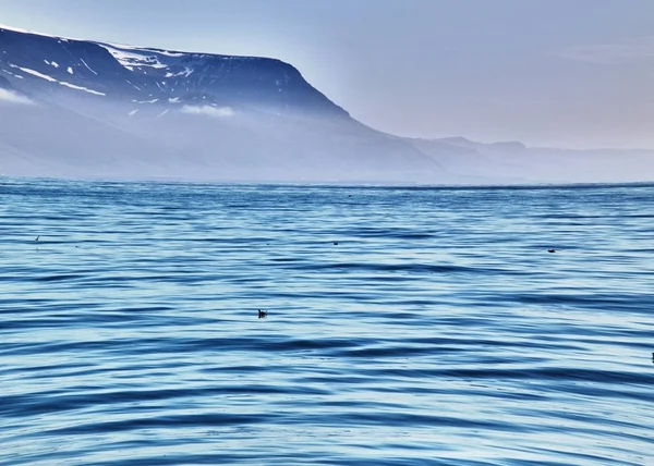 Όμορφο καλοκαίρι Ισλανδία Θαλασσογραφία με βουνά — Φωτογραφία Αρχείου