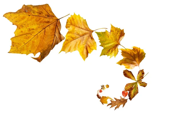 Spirála izolované klesající podzimní listí — Stock fotografie