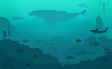 Okyanus balığı koleksiyonu