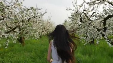 çiçek açması elma bahçesi