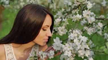 çiçek açması elma bahçesi