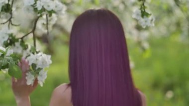 çiçek açması elma bahçesi