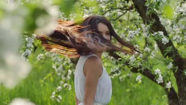 Квітучі Яблуневий сад — стокове відео