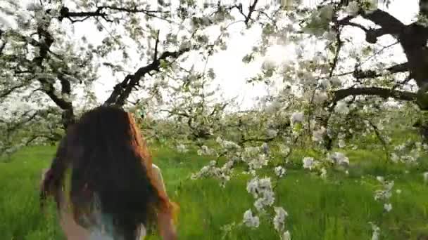 Huerto de manzanas en flor — Vídeos de Stock