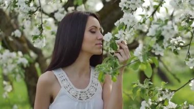 çiçek açması elma bahçesi