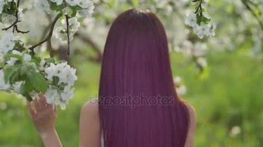 çiçek açması elma bahçesi