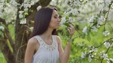 çiçek açması elma bahçesi