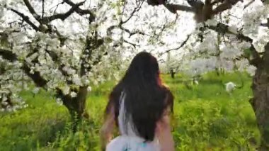 çiçek açması elma bahçesi