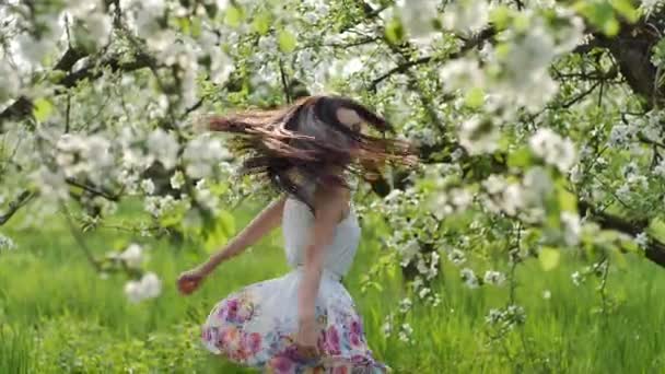 Blossoming Apple Orchard — Stock Video