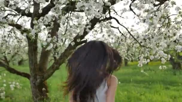 Kvetoucí jabloňový sad — Stock video