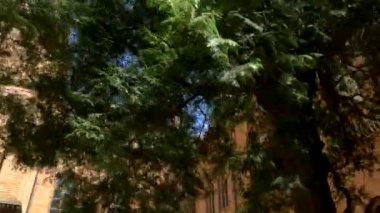 Chernivtsi, Ukrayna üniversite