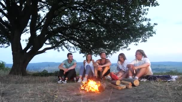 Groep vrienden zitten naast een kampvuur met warme dranken en praten — Stockvideo