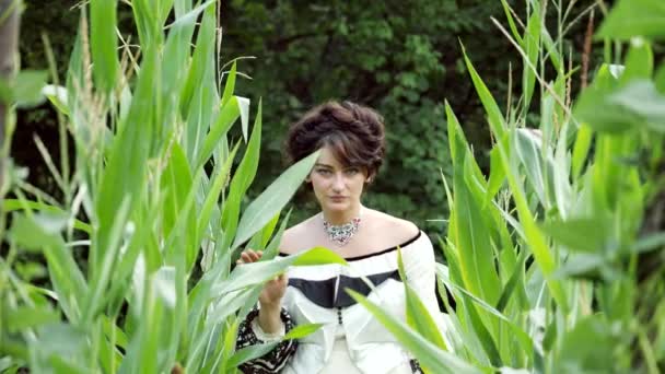 乌克兰年轻妇女走在玉米地里，会和着相机的镜头. — 图库视频影像