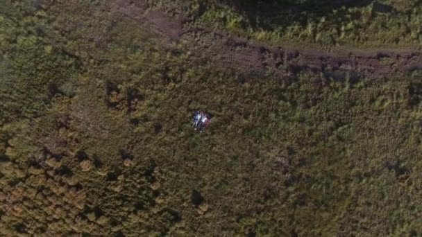 Couple couché sur l'herbe dans la prairie. Vue du dessus — Video