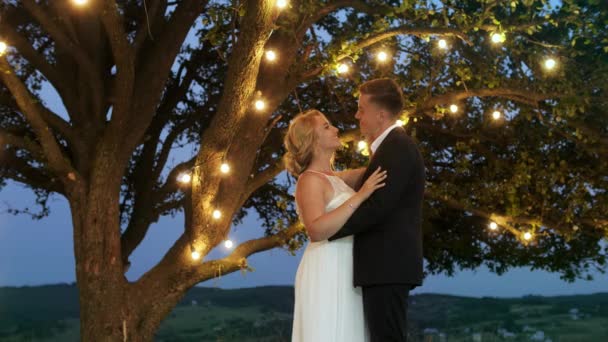 Pareja de lujo en vestidos de noche se abrazan cerca de un gran árbol con guirnalda. — Vídeos de Stock