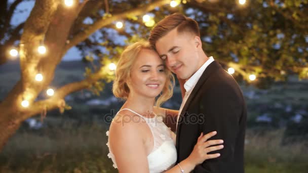 Розкішна пара в вечірніх сукнях обіймається біля великого дерева з гірляндою . — стокове відео