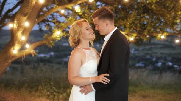 Luxury couple in evening dresses are hugging near a big tree with garland. — Stock Video