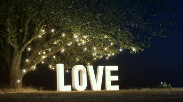 Grandes letras de luz de amor branco — Vídeo de Stock