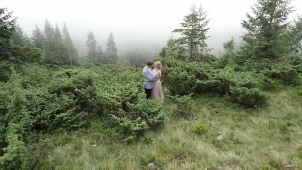 저녁 의상을 입은 고급 부부가 산 초원에서 포옹하고 있다 — 비디오