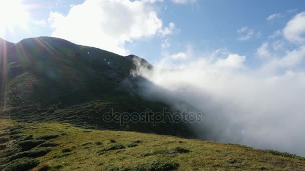 林谷。晨雾。绿色的山丘与树木 — 图库视频影像