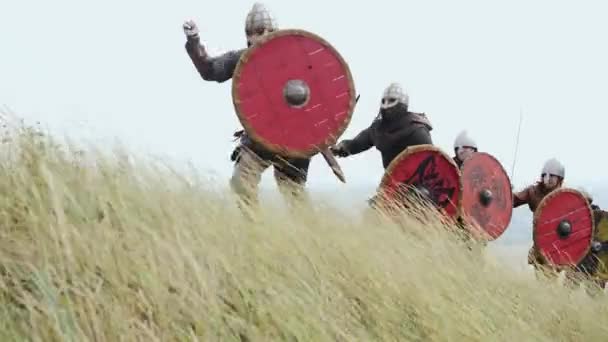 Gruppe von Wikingern mit Schilden läuft vorwärts auf die Wiese und hebt das Schwert — Stockvideo