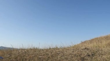 Savaşçı bir kılıç zemine yapışmasını Viking