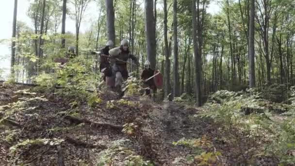 Vikingarna som kör i skogen för att slåss i en strid — Stockvideo