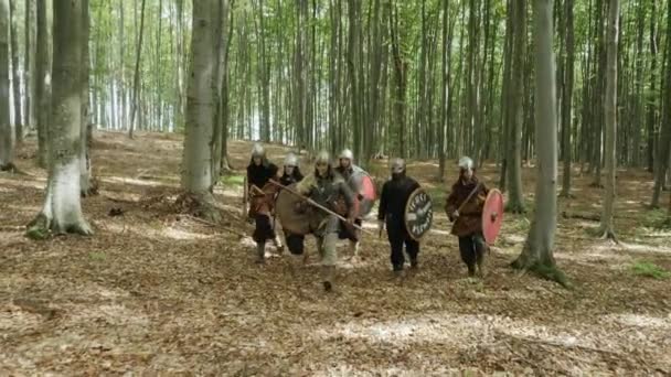 Warriors of Vikings are going in the forest on the battle. — Stock Video