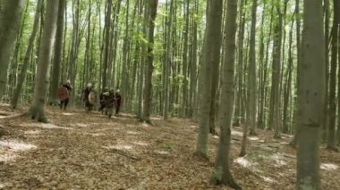 Viking savaşçıları ormanda savaş üzerinde çalışan.