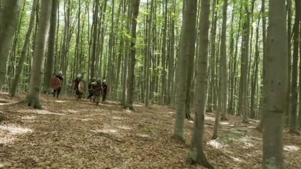 Wojownicy Wikingów są uruchomione w lesie na bitwę. — Wideo stockowe