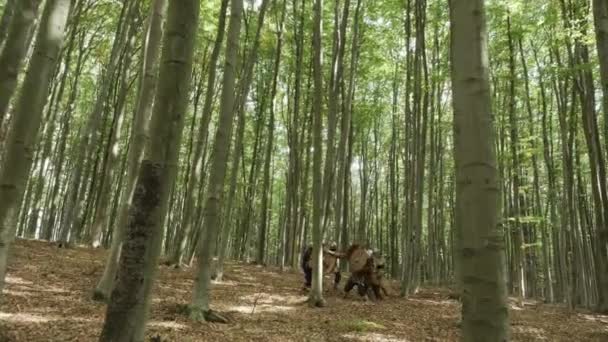 维京战士正在打架。在森林里. — 图库视频影像
