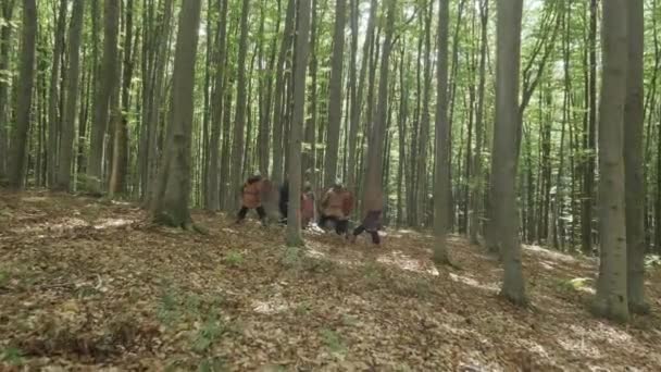 Los guerreros de los vikingos están luchando. en el bosque . — Vídeos de Stock