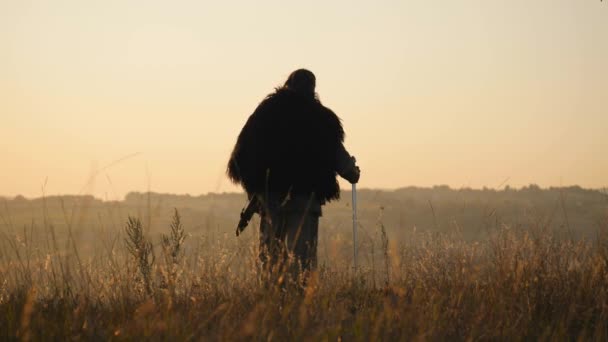 Воїн Вікінг прилипання до мечі в землю — стокове відео